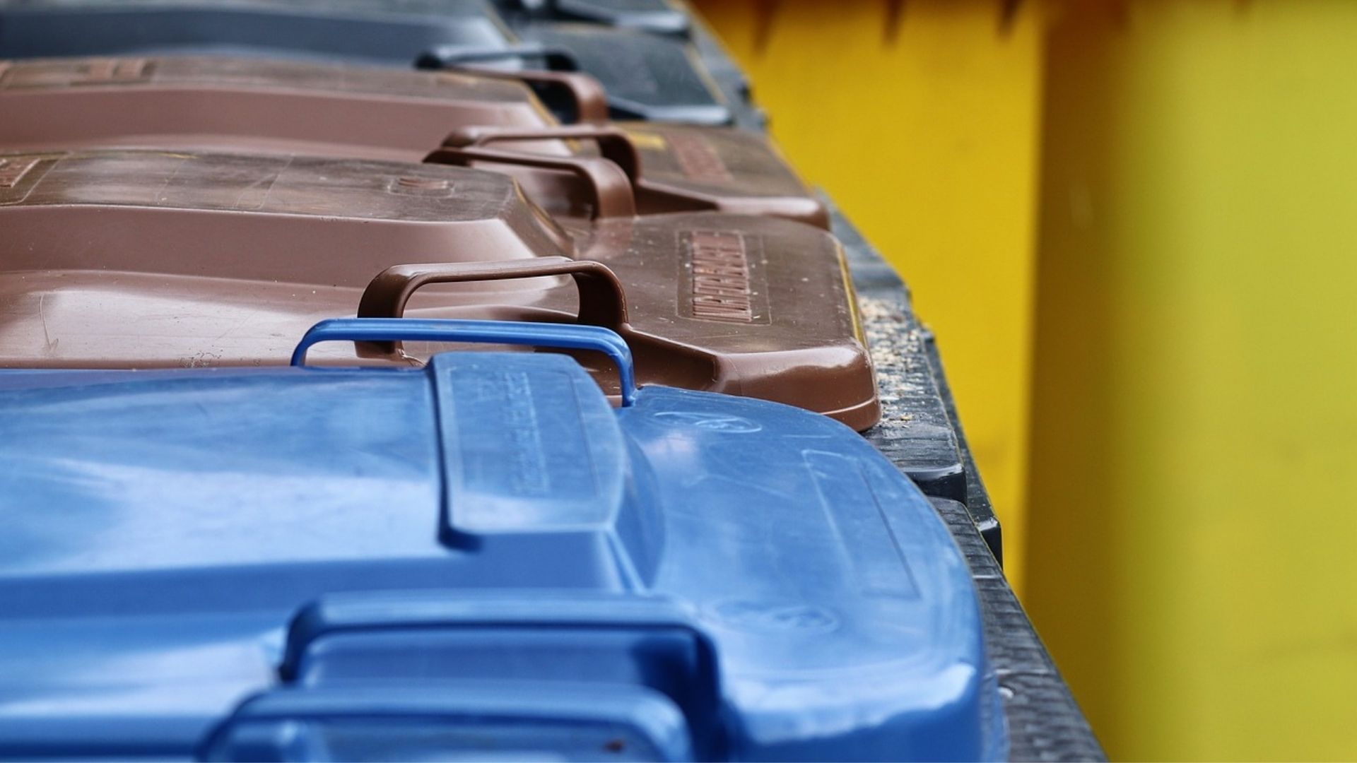 Applicazione della TARI. Chiarimenti del Ministero della Transizione Ecologica.