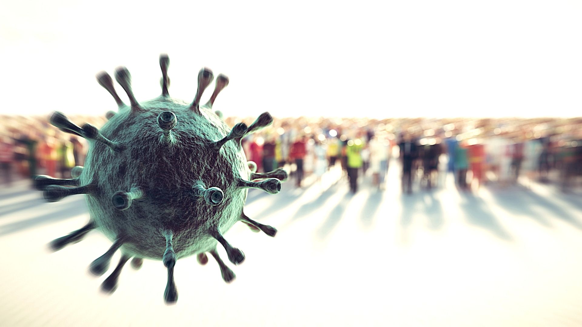 Covid 19. Conversione in legge del d.l n. 2 del 14.1.2021.