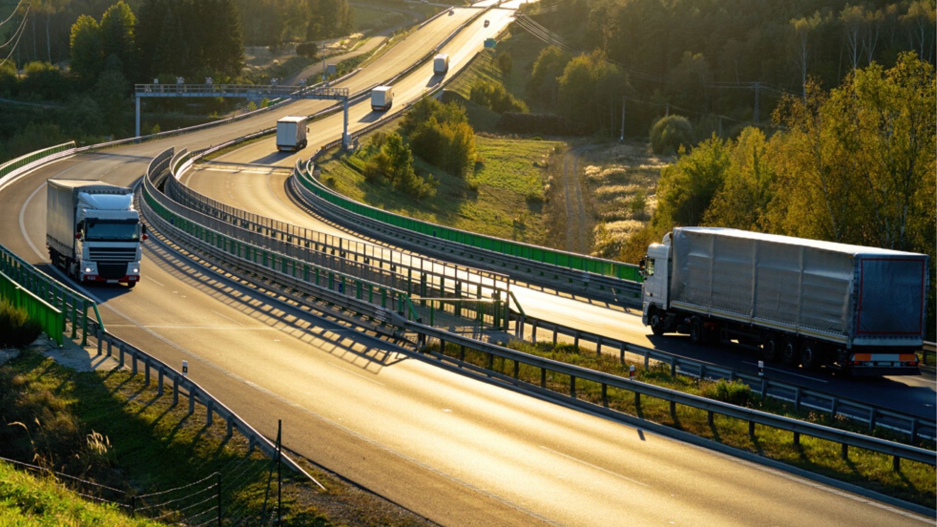 FIAP Radiazione definitiva per esportazione allestero. File avvisi del 30 gennaio 2020