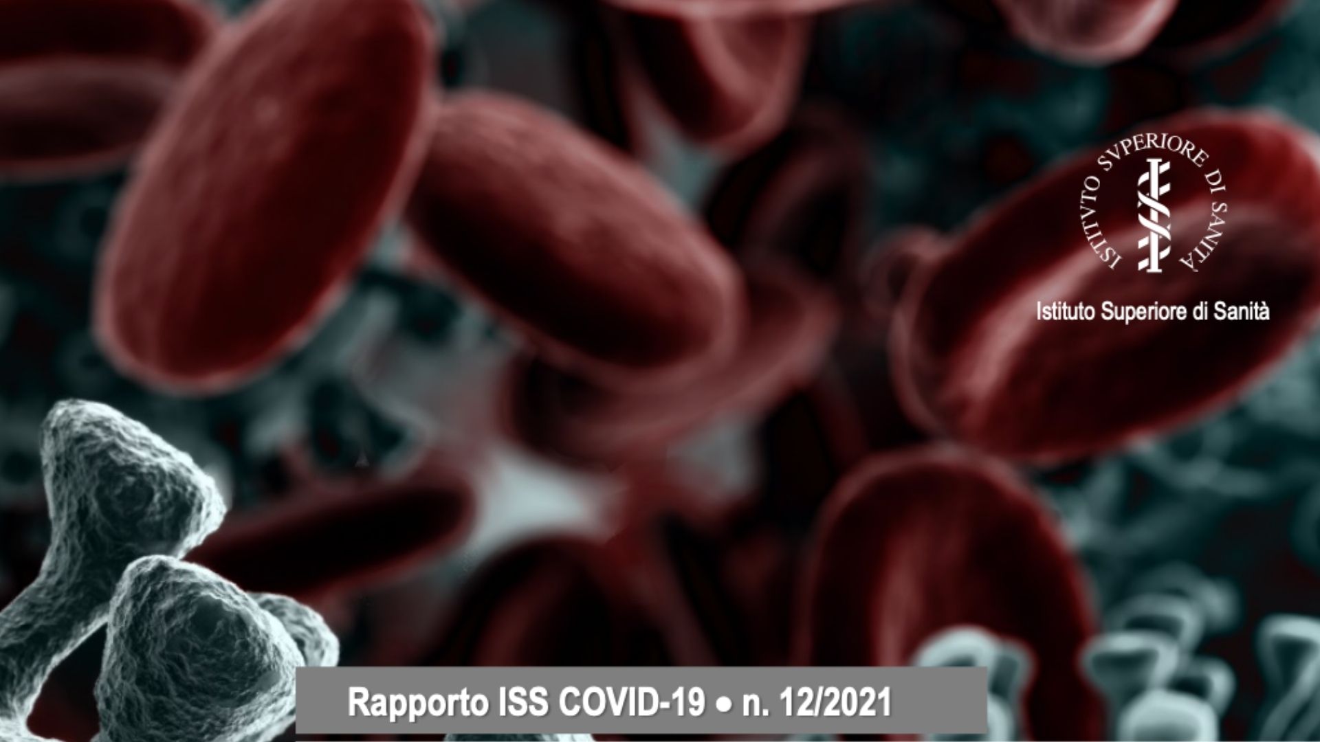 Istituto Superiore di Sanita ISS Raccomandazioni ad interim sulla sanificazione di strutture non sanitarie nellattuale emergenza covid 19 ambienti e superfici v2. 2