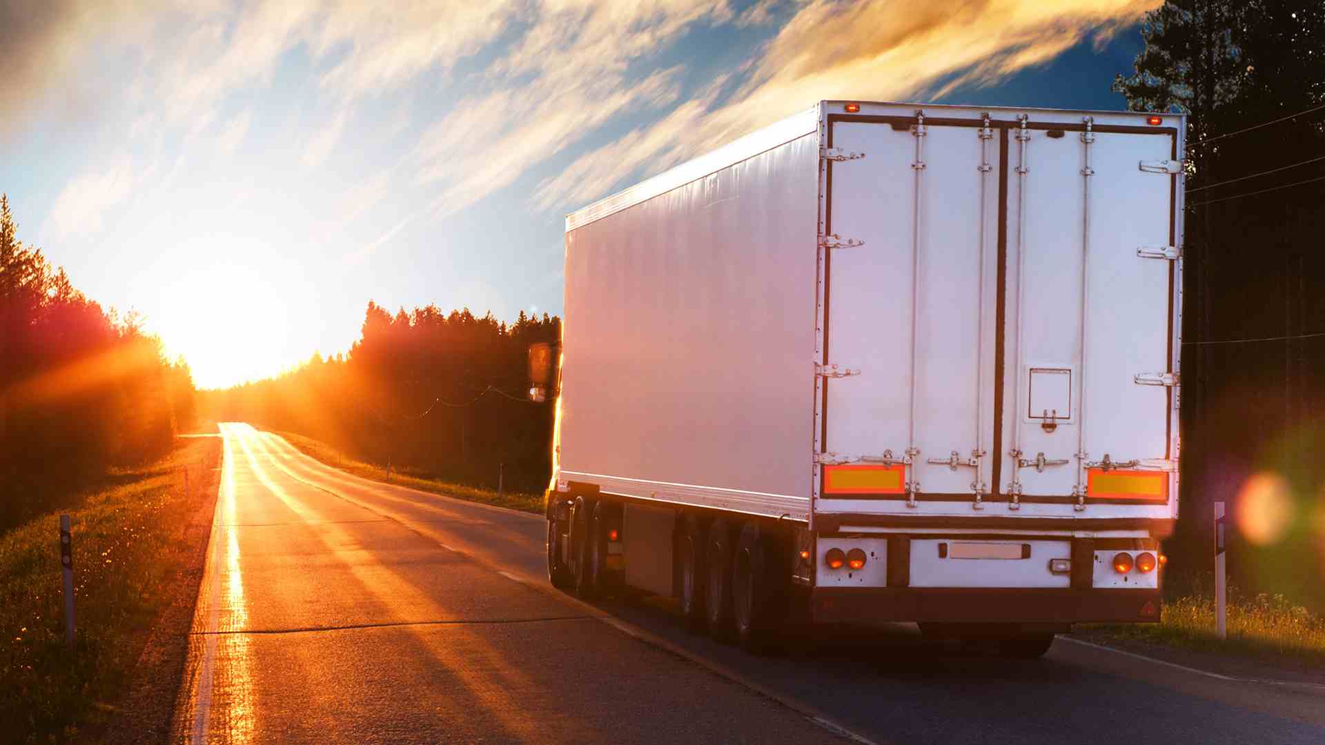 Locazione senza conducente aggiornamenti