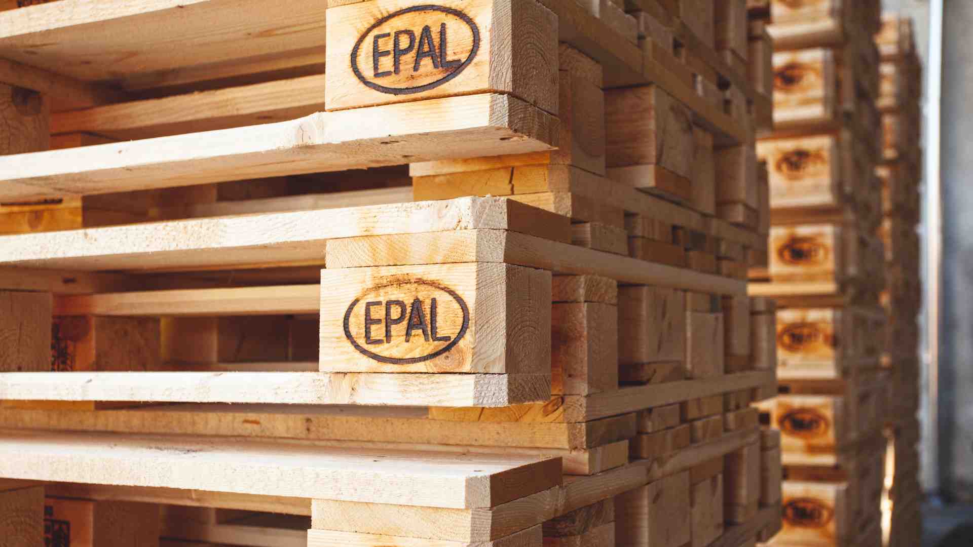 Riforma del sistema di interscambio dei pallet Analisi tecnica degli artt. 17 bis e 17 ter DL 212022 coordinamento con lart. 127 del DM 20092008 e tutela dellesonero del vettore.