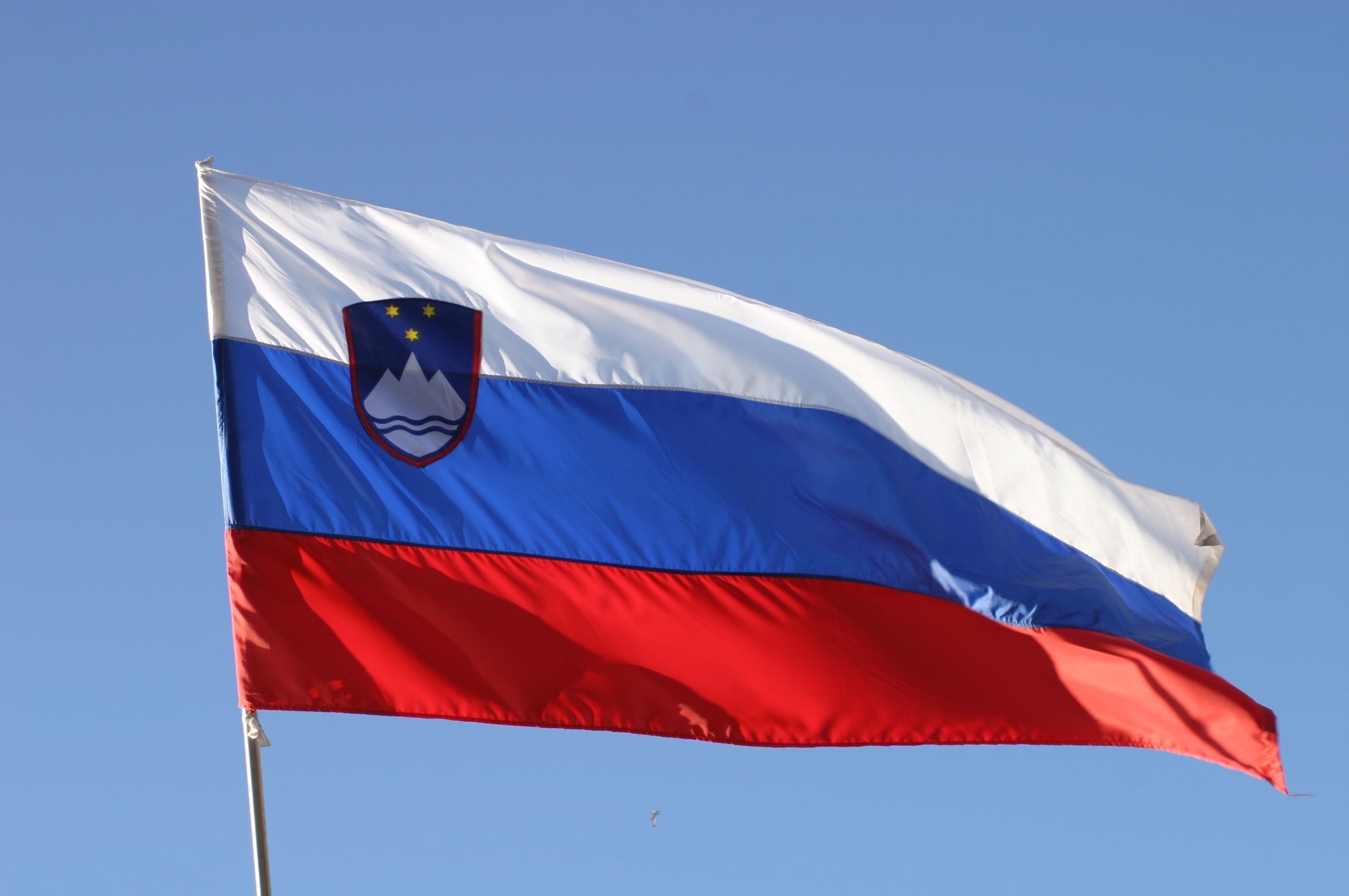 Slovenia flag
