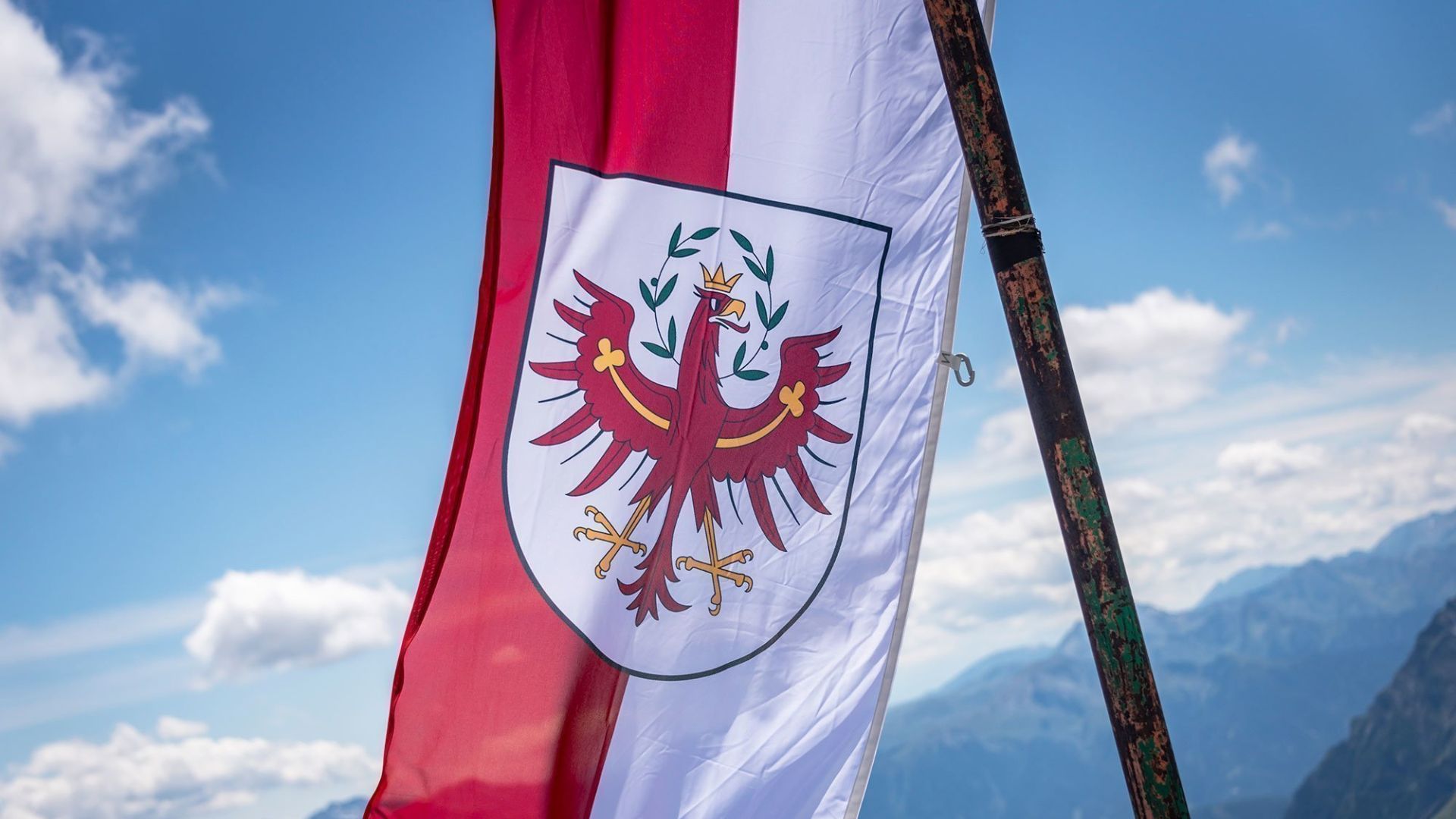 Trasporti Internazionali TIROLO v2