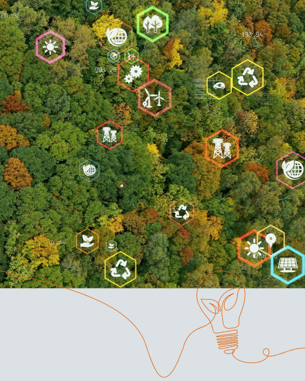 progetti per la sotenibilita FIAP 3